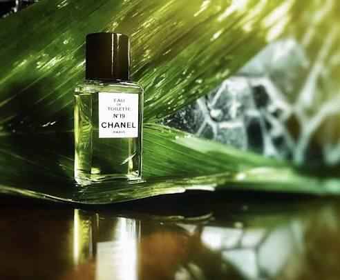 Chanel N°19 Eau de Toilette For Women