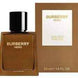 Burberry Hero